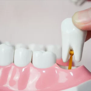 Zęby trzonowe – wszystko, co musisz o nich wiedzieć